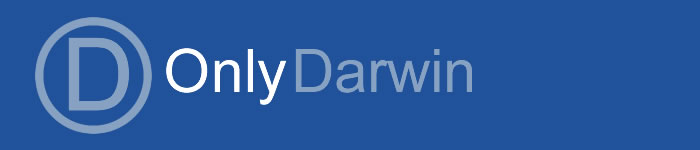 XML Sitemap: onlydarwin.com.au